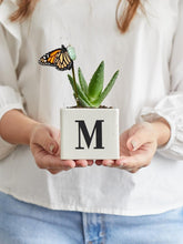 suculenta-cactus-crisalida-de-mariposa-capullo-de-mariposa-pupa-suculenta-con-inicial-regalos-habibi-plantitas.jpg